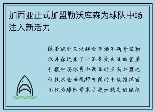 加西亚正式加盟勒沃库森为球队中场注入新活力 加西亚正式加盟勒沃库森为球队中场注入新活力